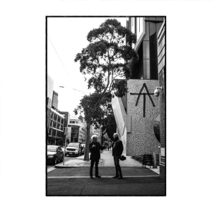 Tim Finn - At in der Gruppe VINYL / Pop-Rock bei Bengans Skivbutik AB (4227854)