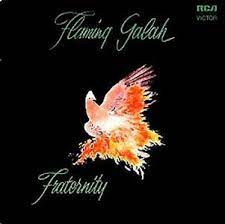 FRATERNITY - Flaming Galah (2Lp/Green Vinyl) (Rsd) in der Gruppe UNSERE TIPPS / Record Store Day / RSD2023 bei Bengans Skivbutik AB (4227901)