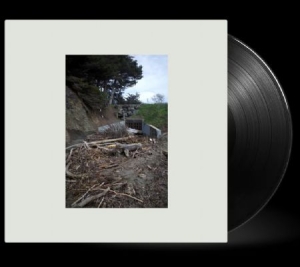 Mac Demarco - Five Easy Hot Dogs in der Gruppe VINYL / Pop-Rock bei Bengans Skivbutik AB (4231833)