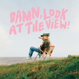 Martin Luke Brown - Damn, Look At The View! in der Gruppe VINYL / Pop-Rock bei Bengans Skivbutik AB (4231888)