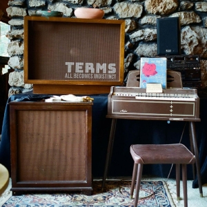 Terms - All Becomes  Indistinct (Random Col in der Gruppe VINYL / Jazz,Pop-Rock bei Bengans Skivbutik AB (4232389)