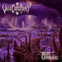 Voidceremony - Threads Of Unknowing (Vinyl Lp) in der Gruppe VINYL / Hårdrock bei Bengans Skivbutik AB (4232412)
