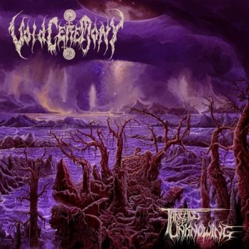 Voidceremony - Threads Of Unknowing (Vinyl Lp) in der Gruppe VINYL / Bestseller bei Bengans Skivbutik AB (4232412)