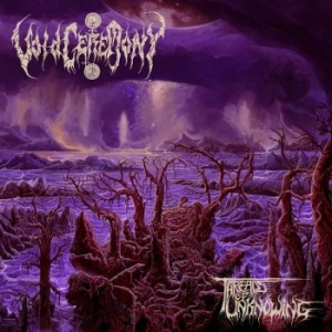 Voidceremony - Threads Of Unknowing in der Gruppe CD bei Bengans Skivbutik AB (4232419)