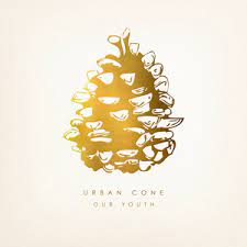 Urban Cone - Our Youth in der Gruppe VINYL / Pop-Rock bei Bengans Skivbutik AB (4233896)
