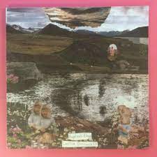 Angelica'S Elegy  - Cognitive Dissonanance in der Gruppe VINYL / Pop-Rock bei Bengans Skivbutik AB (4234908)