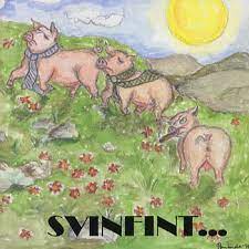 Svinfint ...Punksaml -95 - Räserbajs-Gymnastiken Mfl in der Gruppe CD / Pop-Rock bei Bengans Skivbutik AB (4234938)