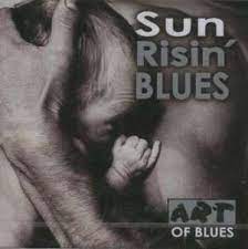 Sun Risin Blues - Broonzy B B-Mc Tell B W-Terry S Mfl in der Gruppe CD / Jazz bei Bengans Skivbutik AB (4235846)