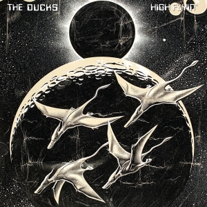 The Ducks - High Flyin' in der Gruppe CD / Pop-Rock bei Bengans Skivbutik AB (4236120)