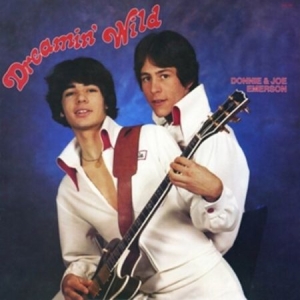 Joe Emerson - Dreamin' Wild (Colored Vinyl) in der Gruppe VINYL / Pop bei Bengans Skivbutik AB (4239225)