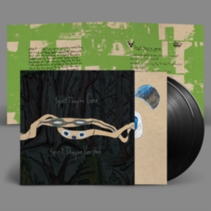 Animal Collective - Spirit They're Gone, Spirit They've in der Gruppe VINYL / Pop-Rock bei Bengans Skivbutik AB (4239764)