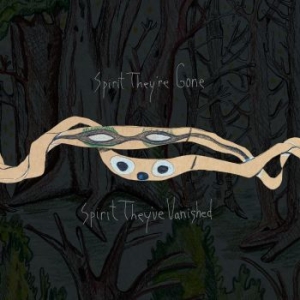 Animal Collective - Spirit They're Gone, Spirit They've in der Gruppe VINYL / Pop-Rock bei Bengans Skivbutik AB (4239765)