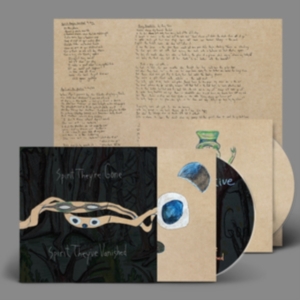 Animal Collective - Spirit They're Gone, Spirit They've in der Gruppe CD / Pop-Rock bei Bengans Skivbutik AB (4239768)