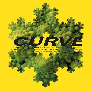 Curve - Fait Accompli (Extended) in der Gruppe VINYL / Pop-Rock bei Bengans Skivbutik AB (4239822)