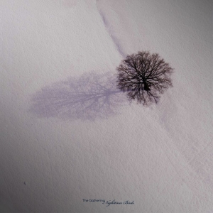 Gathering The - Nighttime Birds (Vinyl Lp) in der Gruppe VINYL / Hårdrock bei Bengans Skivbutik AB (4240346)