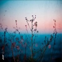 Quiet Quartet - Quiet Quartet in der Gruppe CD bei Bengans Skivbutik AB (4240792)