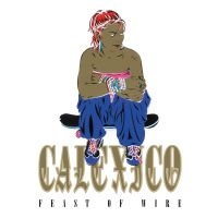 Calexico - Feast Of Wire (20Th Anniversary Ltd Edition) in der Gruppe VINYL / Pop-Rock bei Bengans Skivbutik AB (4240804)