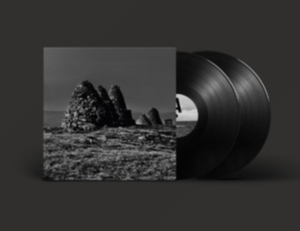 Craven Faults - Standers in der Gruppe VINYL / Pop-Rock bei Bengans Skivbutik AB (4241185)