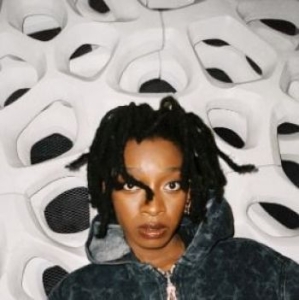 Little Simz - No Thank You in der Gruppe CD / Hip Hop-Rap bei Bengans Skivbutik AB (4241667)