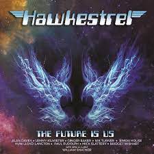 Hawkestrel - The Future Is Us in der Gruppe VINYL / Pop bei Bengans Skivbutik AB (4242297)