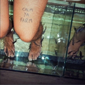 Murlocs The - Calm Ya Farm in der Gruppe VINYL / Hårdrock,Pop-Rock bei Bengans Skivbutik AB (4242557)