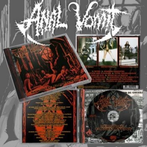 Anal Vomit - Demoniac Flagellations in der Gruppe CD bei Bengans Skivbutik AB (4242637)