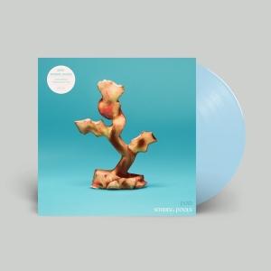 Pozi - Smiling Pools in der Gruppe VINYL / Hårdrock,Pop-Rock bei Bengans Skivbutik AB (4244272)