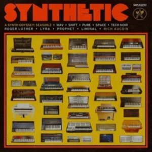 Aucoin Rich - Synthetic Season 2 in der Gruppe VINYL / Pop-Rock bei Bengans Skivbutik AB (4244288)