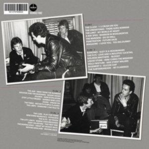Various Artists - Gary Crowley's Punk & New Wave 2 (1 in der Gruppe VINYL bei Bengans Skivbutik AB (4244323)