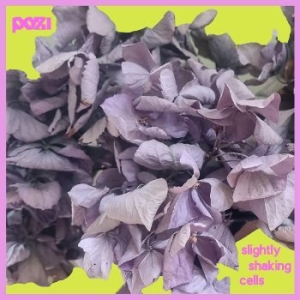 Pozi - Smiling Pools in der Gruppe CD / Hårdrock bei Bengans Skivbutik AB (4244365)