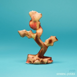 Pozi - Smiling Pools in der Gruppe CD bei Bengans Skivbutik AB (4244365)