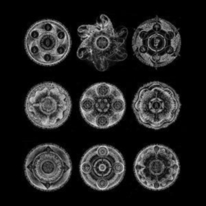 Zorn John & Bill Laswell - Memoria in der Gruppe CD / Jazz bei Bengans Skivbutik AB (4244366)