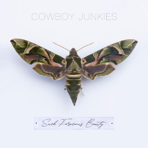 Cowboy Junkies - Such Ferocious Beauty (Tan Transluc in der Gruppe VINYL / Bestseller bei Bengans Skivbutik AB (4245485)