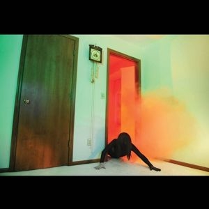 Adult - Becoming Undone in der Gruppe CD / Dance-Techno bei Bengans Skivbutik AB (4245541)