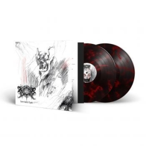 Xasthur - Inevitably Dark (2 Lp Marbled Vinyl in der Gruppe VINYL / Hårdrock/ Heavy metal bei Bengans Skivbutik AB (4246447)