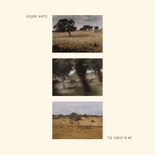 Xylouris White - The Forest In Me in der Gruppe VINYL / Pop-Rock bei Bengans Skivbutik AB (4248185)