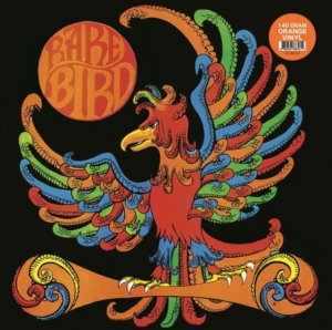 Rare Bird - Rare Bird in der Gruppe VINYL / Pop-Rock bei Bengans Skivbutik AB (4248518)
