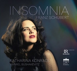 Schubert Franz - Insomnia in der Gruppe Externt_Lager / Naxoslager bei Bengans Skivbutik AB (4248696)