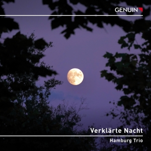 Schoenberg Arnold Schubert Franz - Verklarte Nacht in der Gruppe Externt_Lager / Naxoslager bei Bengans Skivbutik AB (4248701)