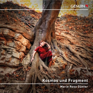 Kallmeyer Ulrich Webern Anton B - Kallmeyer, Webern & Beethoven: Kosm in der Gruppe Externt_Lager / Naxoslager bei Bengans Skivbutik AB (4248705)