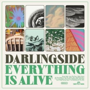 Darlingside - Everything Is Alive in der Gruppe CD / World Music bei Bengans Skivbutik AB (4249682)