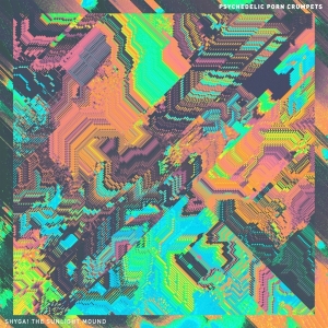 Psychedelic Porn Crumpets - Shyga! The Sunlight Mound in der Gruppe CD / Pop-Rock bei Bengans Skivbutik AB (4251625)