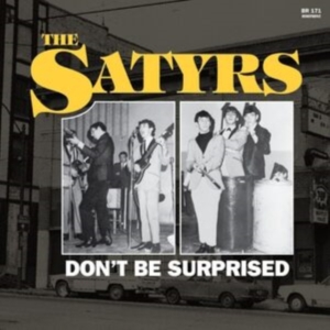 Satyrs The - Don't Be Surprised (Yellow Vinyl) in der Gruppe VINYL / Pop-Rock bei Bengans Skivbutik AB (4255222)
