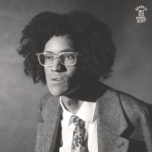 Beharie - Are You There, Boy ? in der Gruppe VINYL / Pop-Rock bei Bengans Skivbutik AB (4255593)