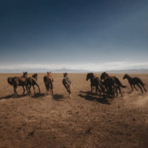 Dan Shake - Verde in der Gruppe VINYL / Pop-Rock bei Bengans Skivbutik AB (4256009)