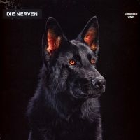 Die Nerven - Die Nerven (Transparent Orange Viny in der Gruppe VINYL / Pop-Rock bei Bengans Skivbutik AB (4256017)