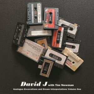 David J With Tim Newman - Analogue Excavations & Dream... Vol in der Gruppe UNSERE TIPPS / Record Store Day / RSD2022 bei Bengans Skivbutik AB (4256604)