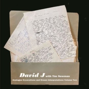 David J With Tim Newman - Analogue Excavations & Dream... Vol in der Gruppe UNSERE TIPPS / Record Store Day / RSD2022 bei Bengans Skivbutik AB (4256605)
