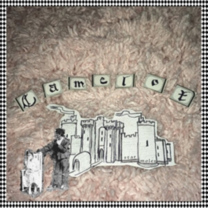 Star Moles - Camelot in der Gruppe Övrigt /  bei Bengans Skivbutik AB (4256856)