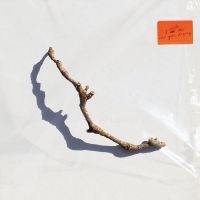 Harvey Pj - I Inside The Old Year Dying in der Gruppe CD bei Bengans Skivbutik AB (4258389)